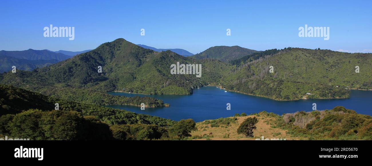 Stunning view from the Queen Charlotte track. Trekking route in the