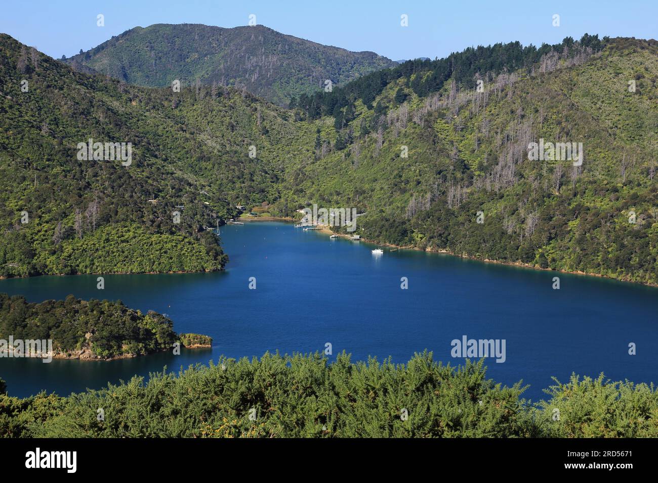 Scene on the Queen Charlotte Track, trekking route in New Zealand Stock Photo