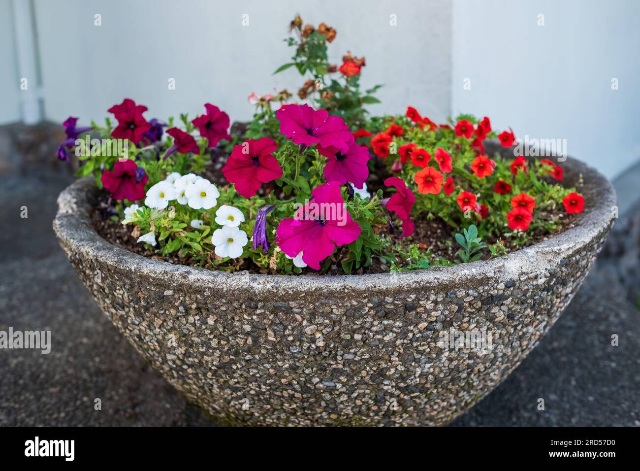 Image of a Big Pot With Design In a Lawn Of a Park-PE825562-Picxy