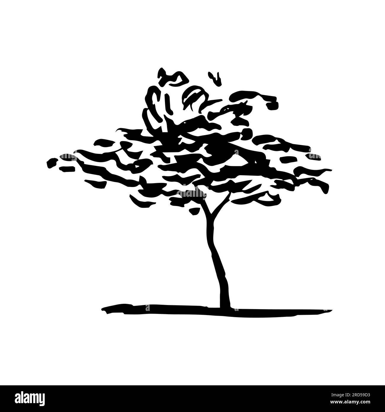 juniper tree hand drawn Stock Vector