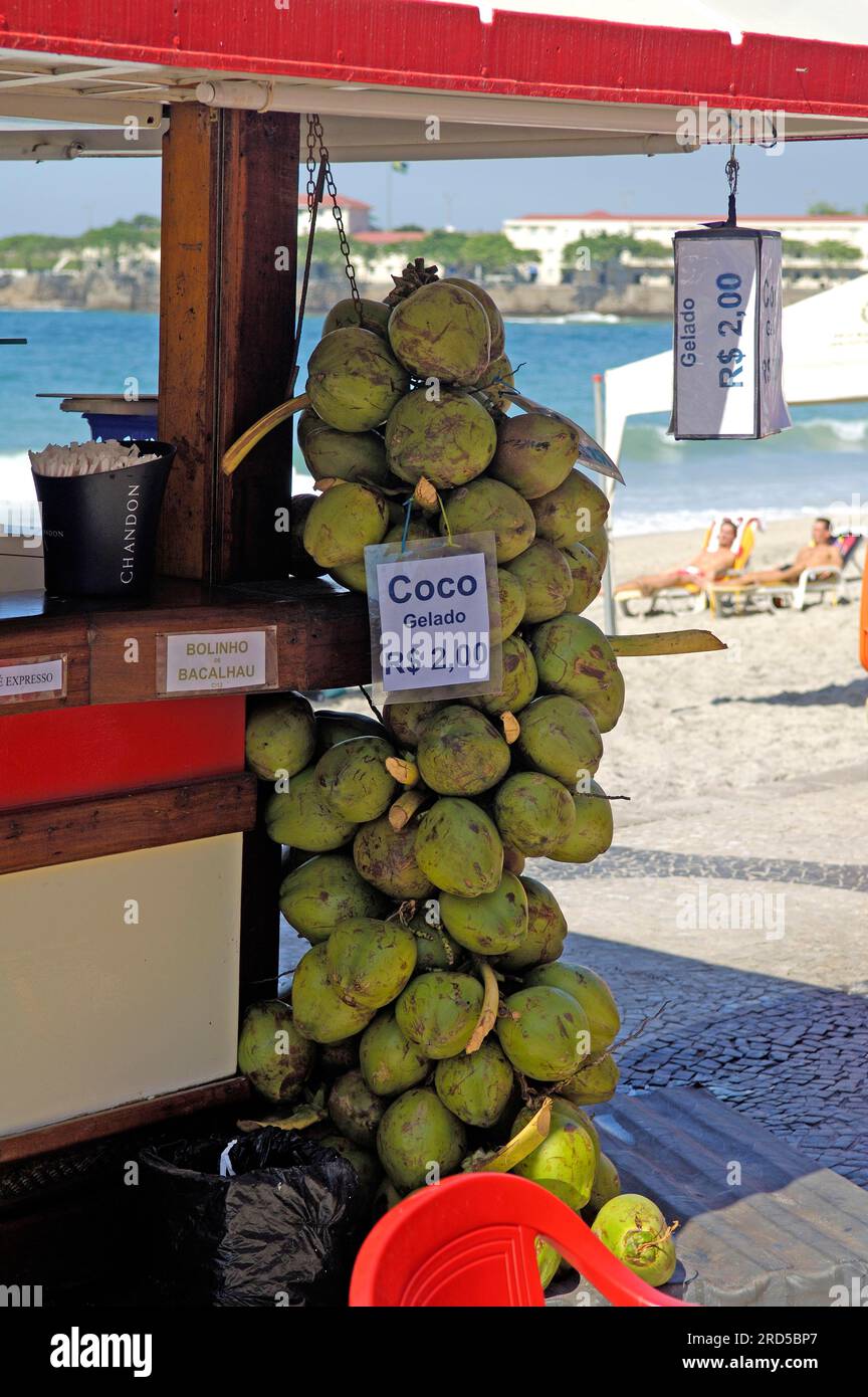 Selling coconuts on the beach, Copacabana, Rio de Janeiro, Brazil Stock Photo Alamy