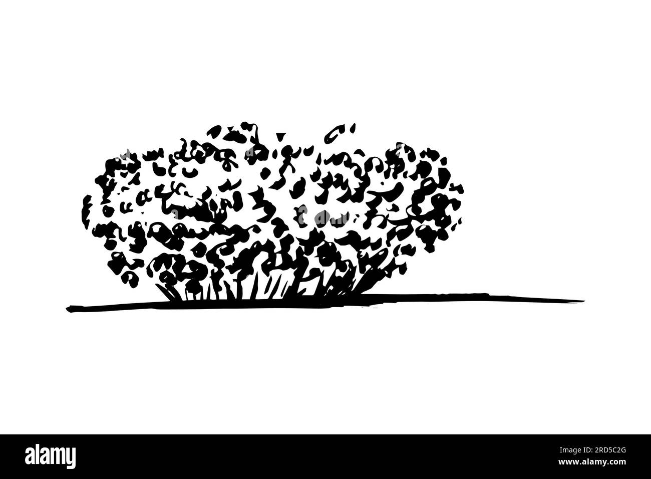 dog rose bush in sketch Stock Vector