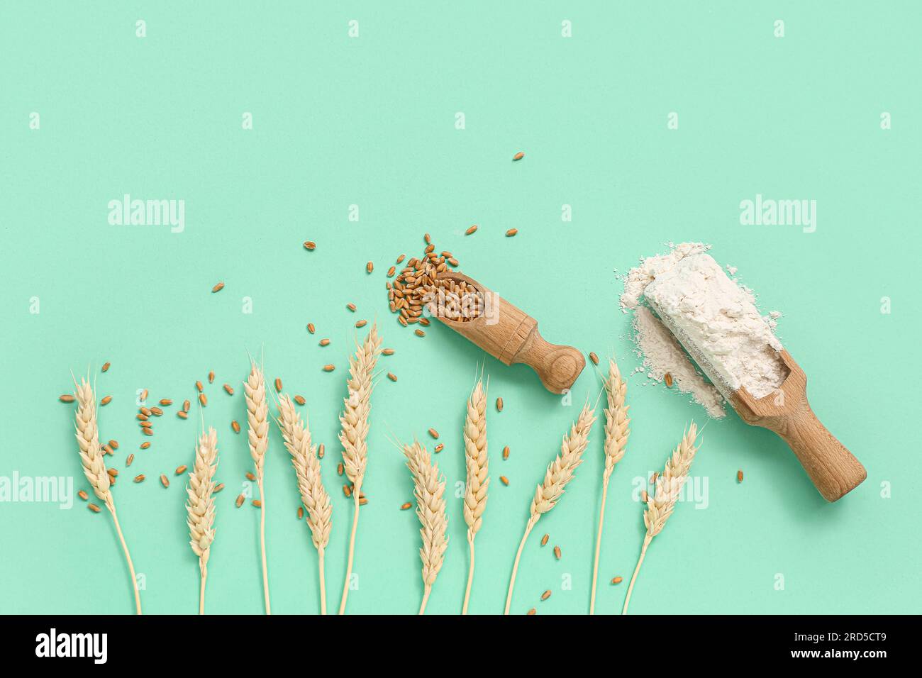 Wooden scoops with wheat flour and grains on turquoise background Stock