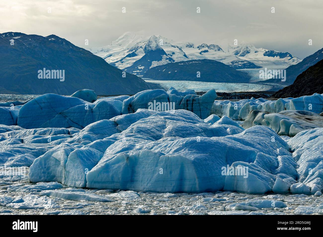 Glacier tongue and icebergs, Knik Glacier, Alaska, USA Stock Photo
