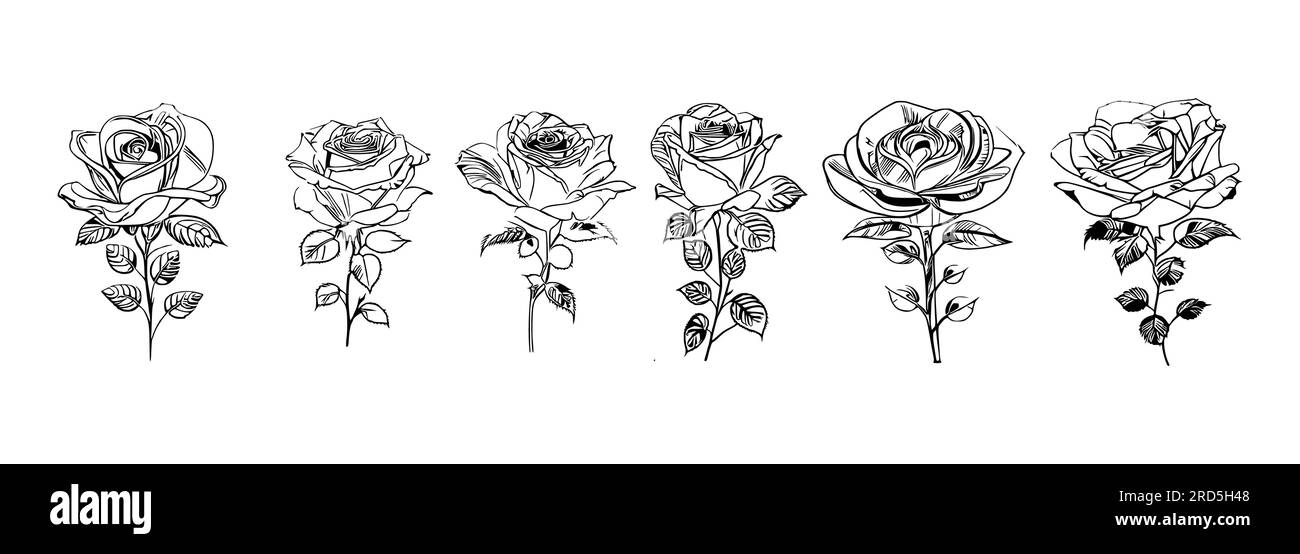 Nice Line art Roses Coloring book Vector, Roses Vector Stock Vector ...