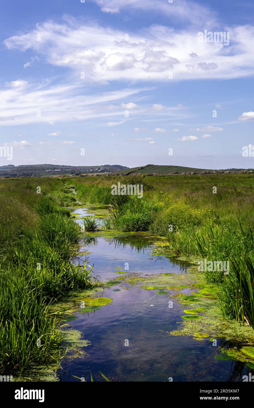 England spring view hi-res stock photography and images - Alamy
