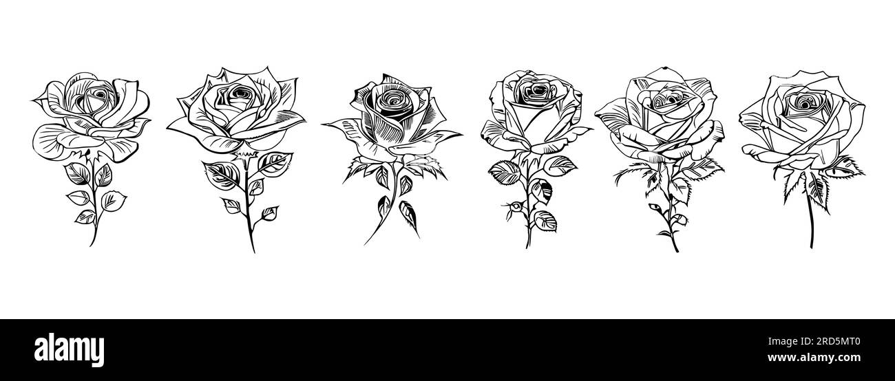 Nice Line art Roses Coloring book Vector, Roses Vector Stock Vector ...