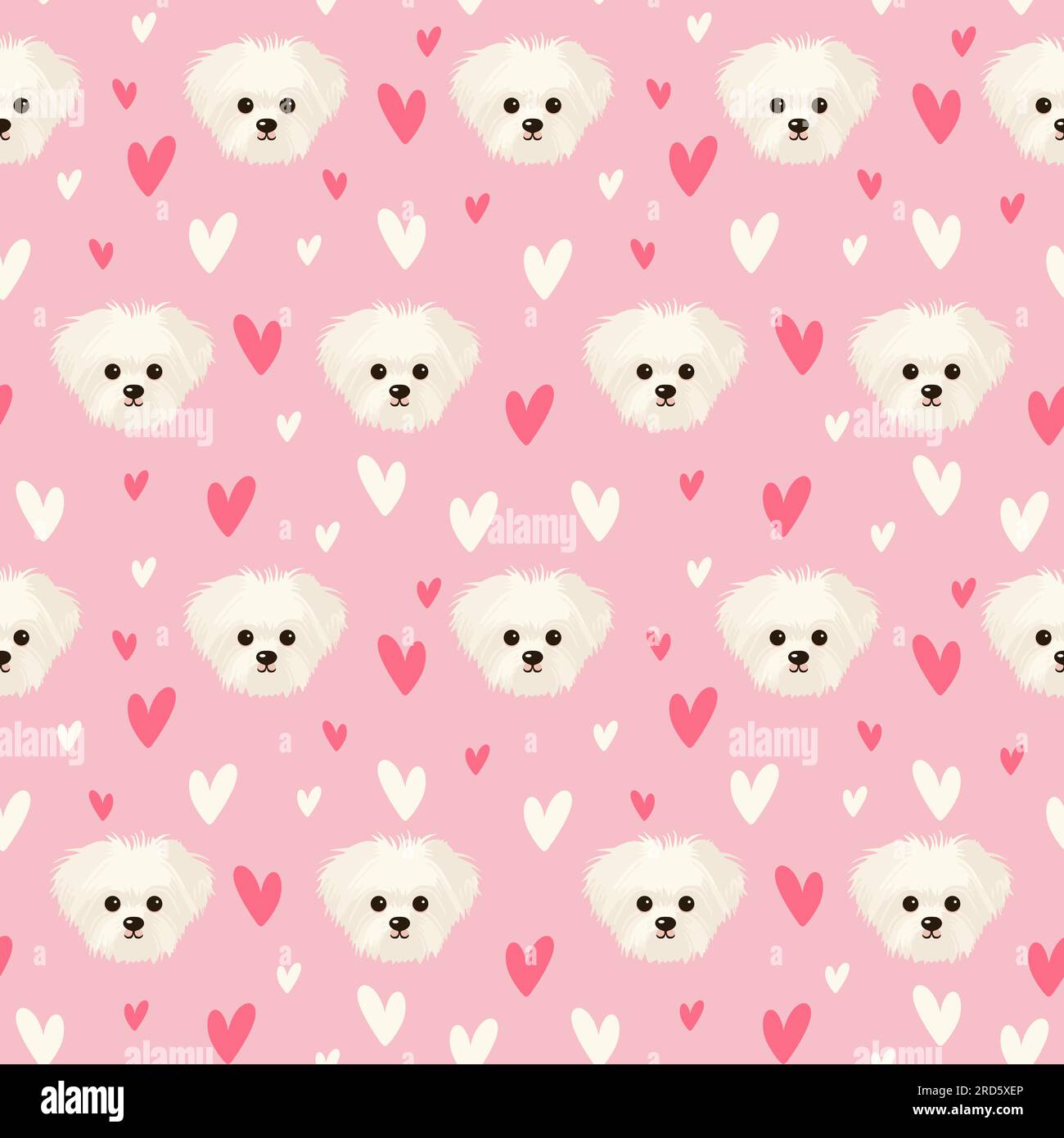 White Italian lapdog seamless pattern. Breed Bolognese on pink ...