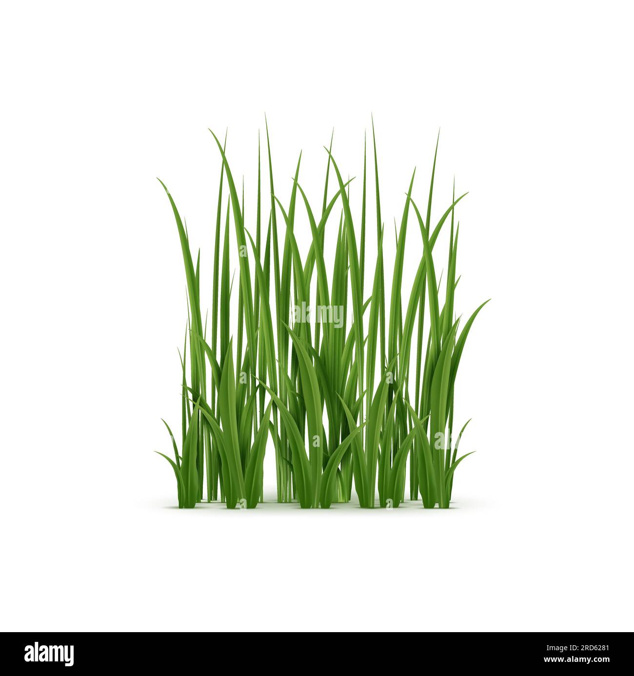 Realistic grass, lush green blades with soft texture. Isolated 3d