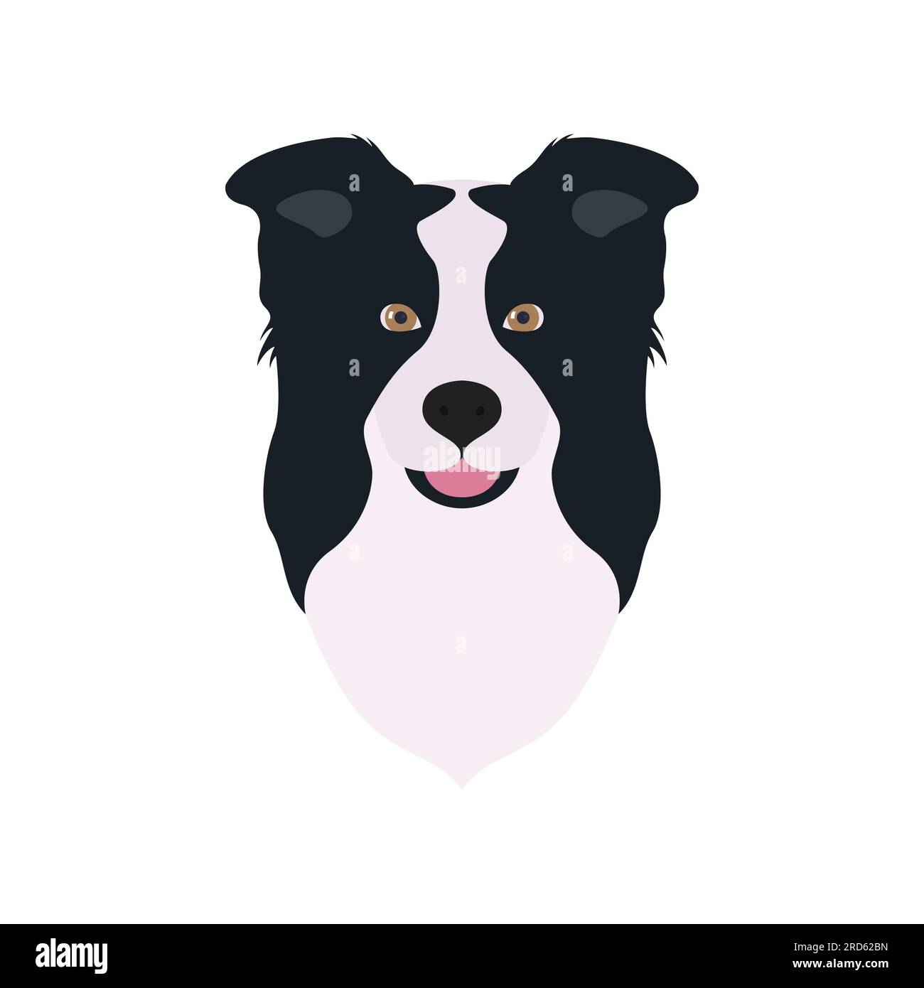 Black border collie Stock Vector Images Alamy