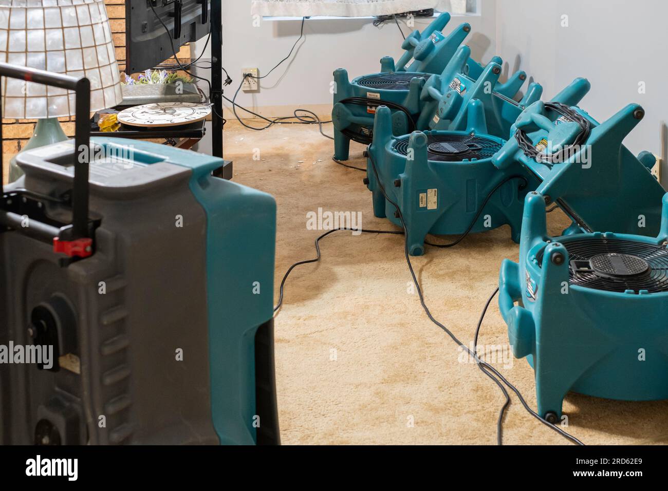 Portable industrial fans & dehumidifier for air movement and moisture removal after a major water leak in a residence. USA. Stock Photo