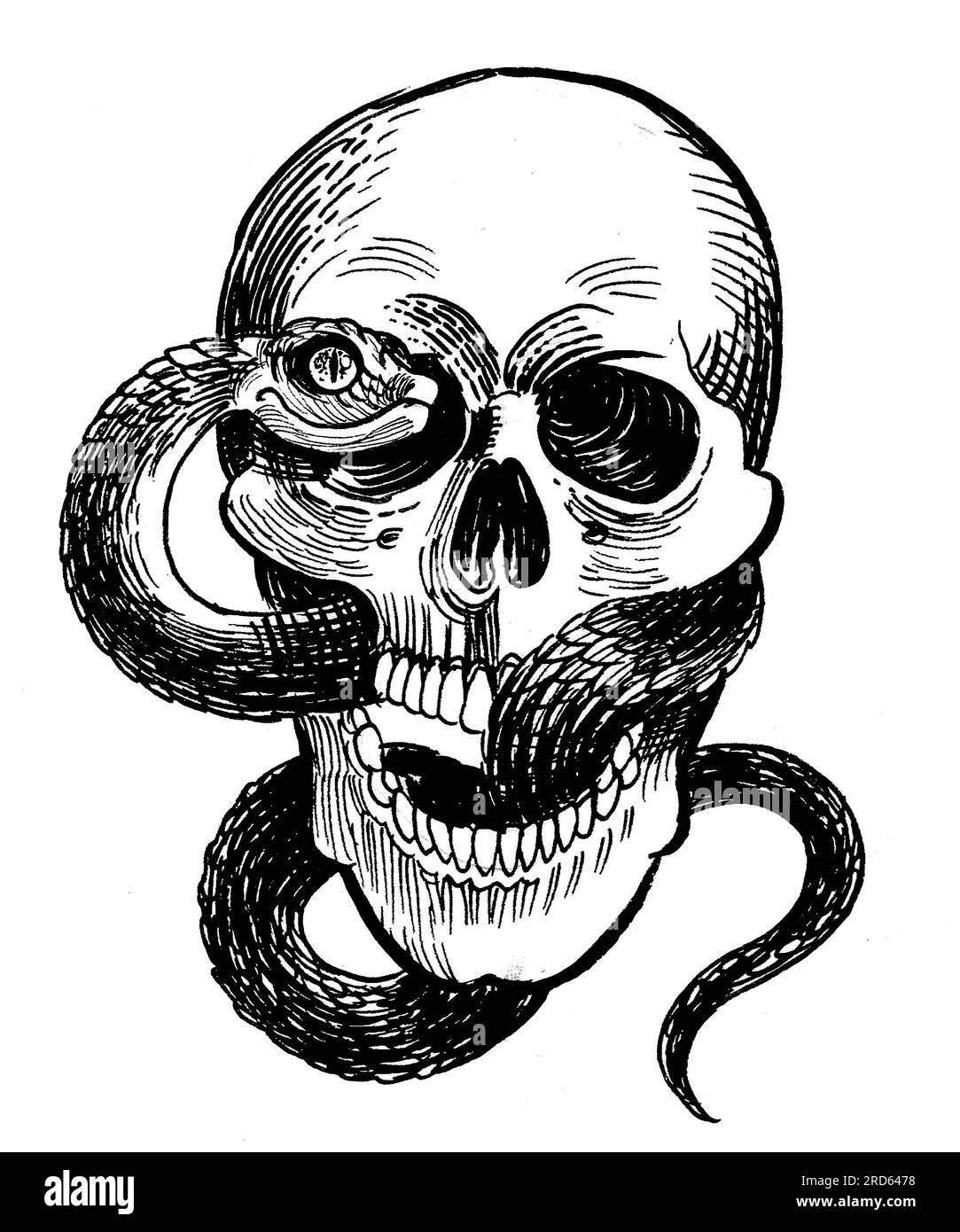 Hand-drawn skull and snake. Black and white ink on paper Stock Photo