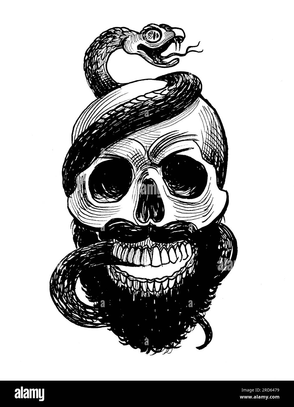Hand-drawn skull and snake. Black and white ink on paper Stock Photo