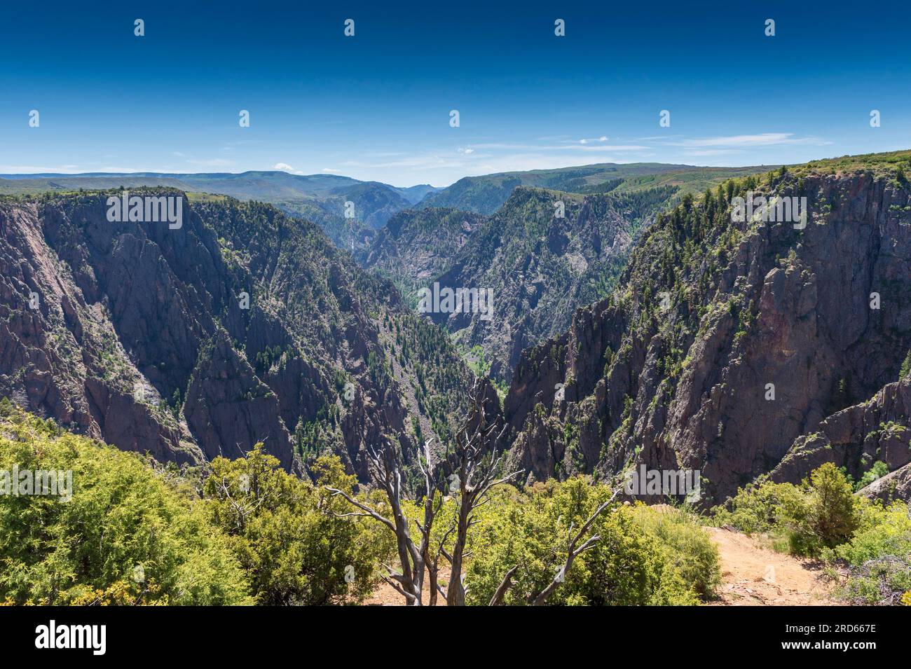 Black Canyon of the Gunnison wilderness in Colorado Stock Photo