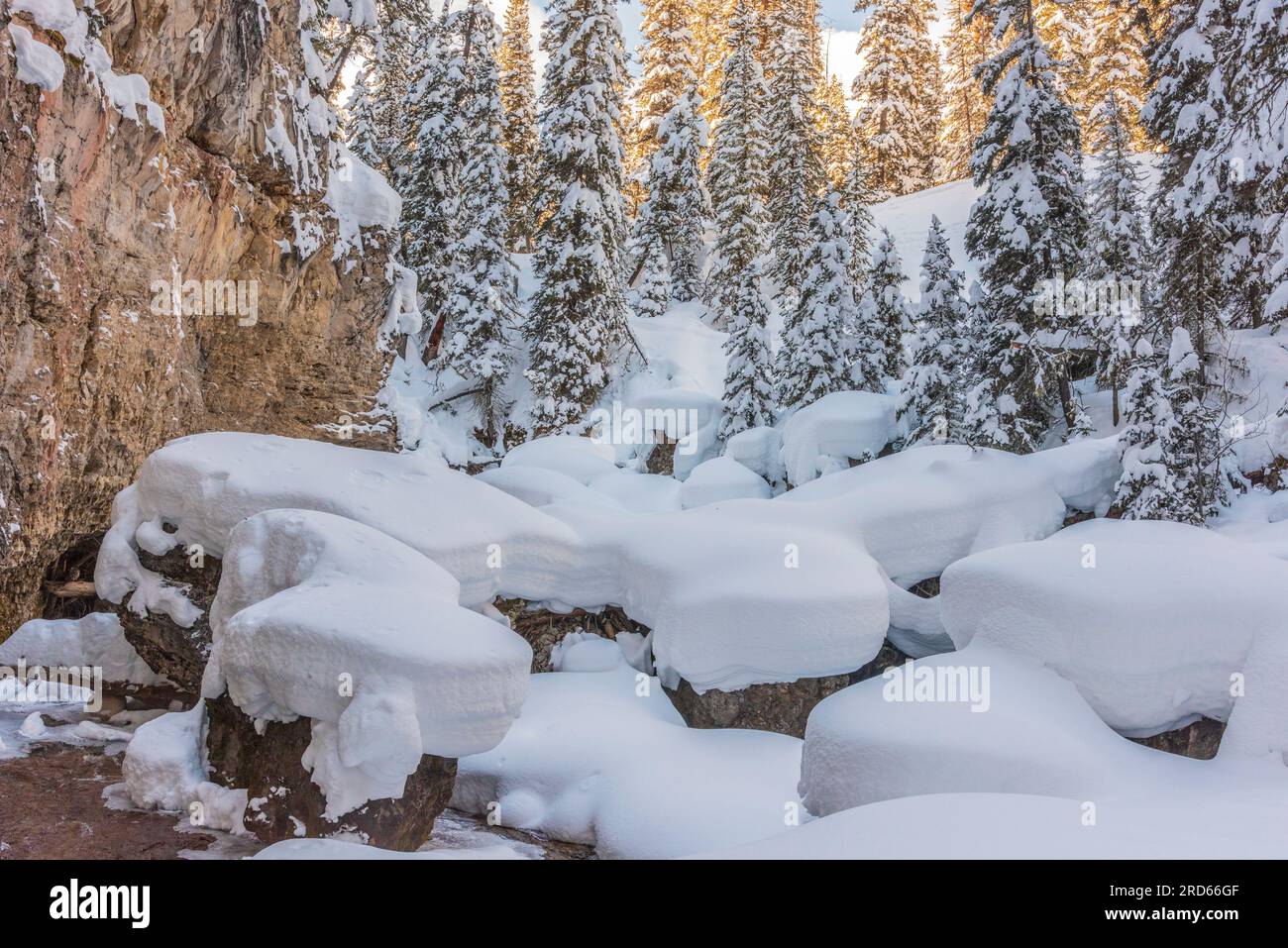 Snowshoeing outing in Lamar Valley in Yelllowstone National Park. Stock Photo