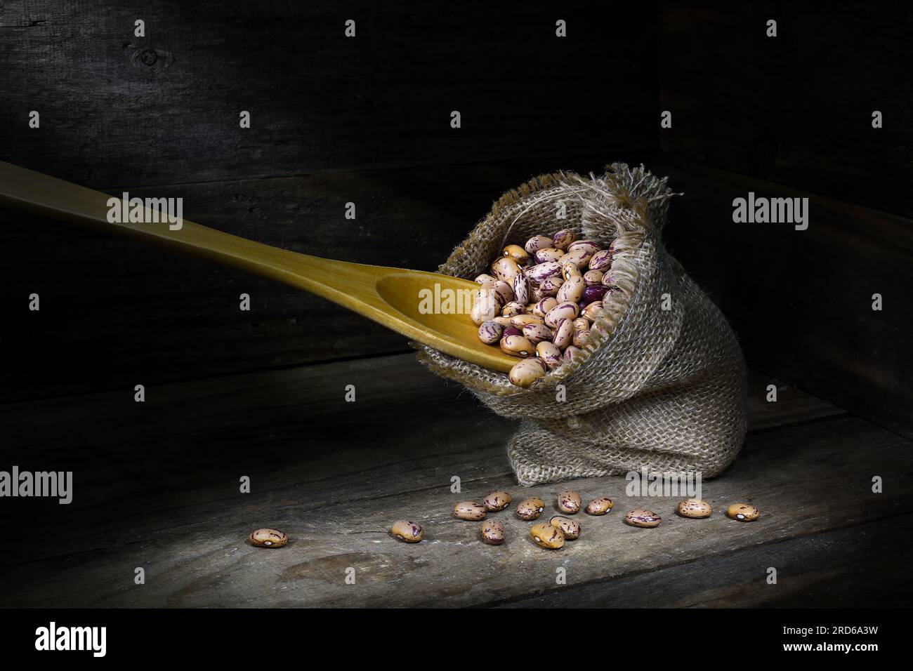 A still life of a pile of raw, dry, uncooked, beige, brown Borlotti beans in a hessian bag and wooden spoon in the corner of a wooden box Stock Photo