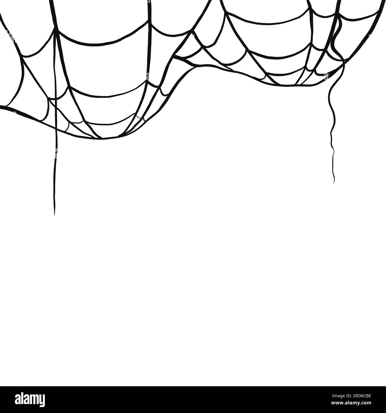 Collection Of Cobweb Isolated Transparent Pattern. Spiderweb For Halloween  Design. Spider Web Elements Spooky And Scary Horror Halloween Decor. Hand  Drawn Silhouette Vector Illustration. Royalty Free SVG, Cliparts, Vectors,  and Stock Illustration.