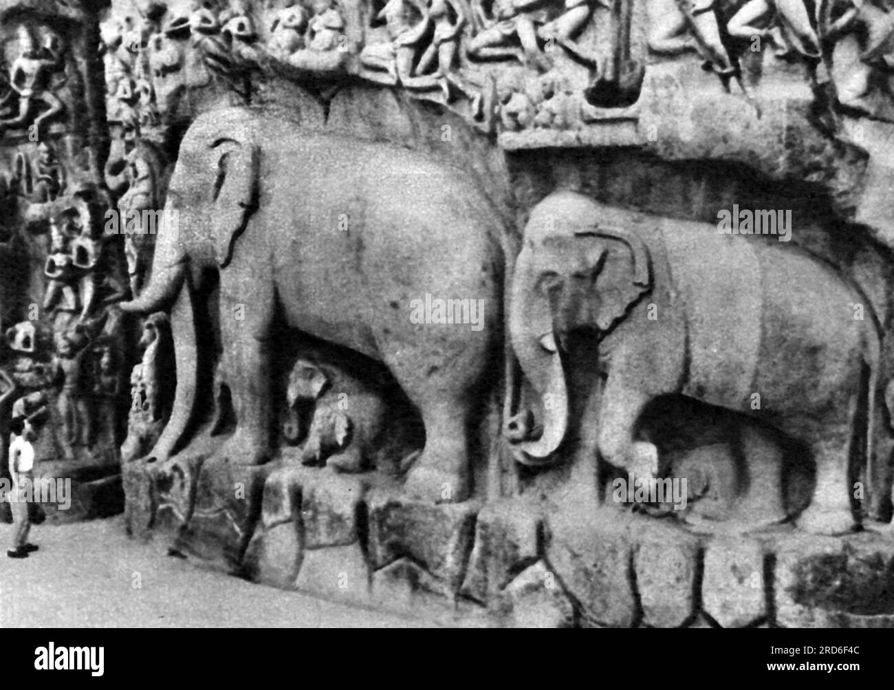 zoology / animals, proboscidean, elephant, Indian elephant (Elphas maximus indicus), stone carving, ADDITIONAL-RIGHTS-CLEARANCE-INFO-NOT-AVAILABLE Stock Photo