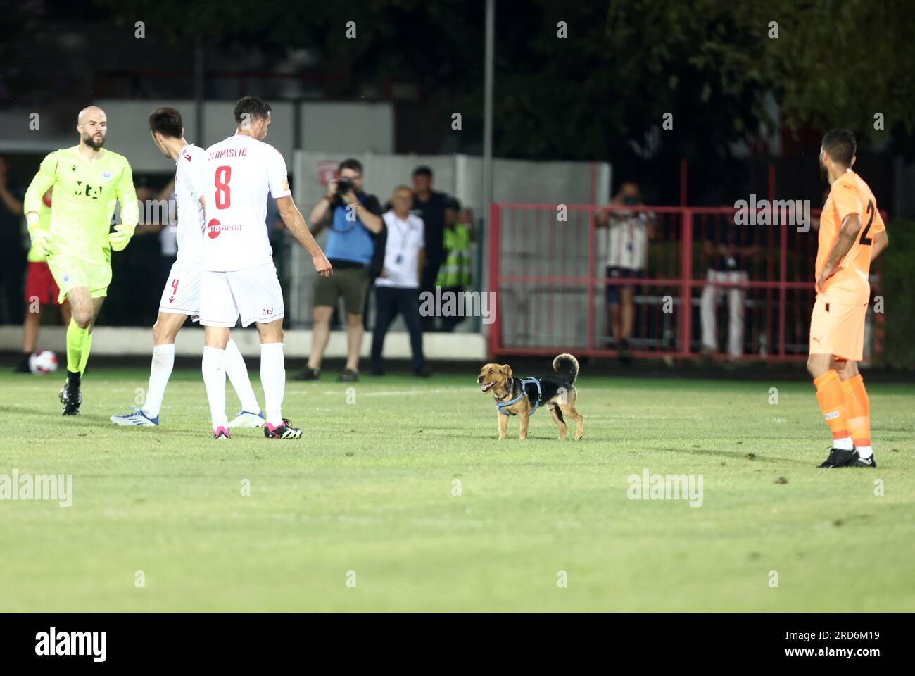 The dog ran into the field during the return match of the first qualifying round for the UEFA Champions League between HSK Zrinjski BiH and FC Urartu in Mostar, Bosnia and Herzegovina on July 18, 2023. Photo: Denis Kapetanovic/PIXSELL Credit: Pixsell/Alamy Live News Stock Photo