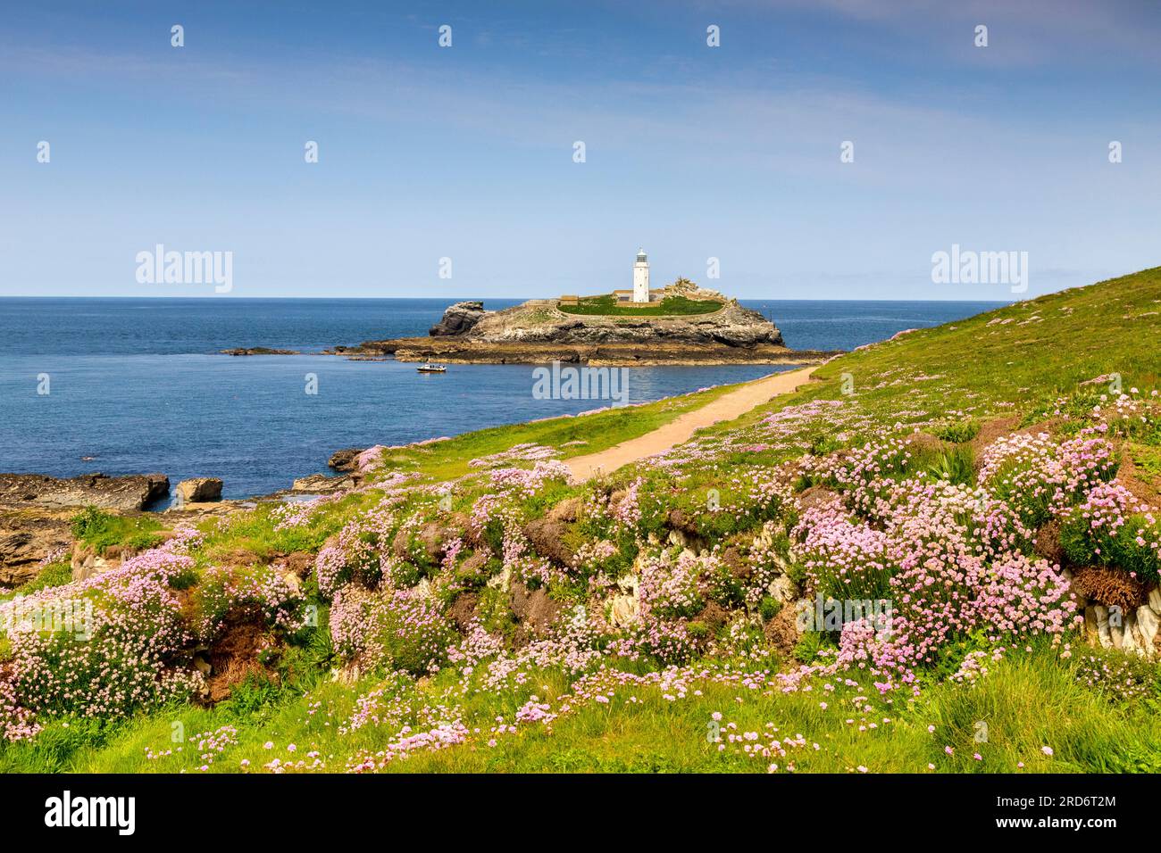 18 May 2023: Godrevy Head, Cornwall, UK - Godrevy Head and Godrevy Lighthouse on a sunny spring day, and an abundance of sea thrift in bloom. Stock Photo