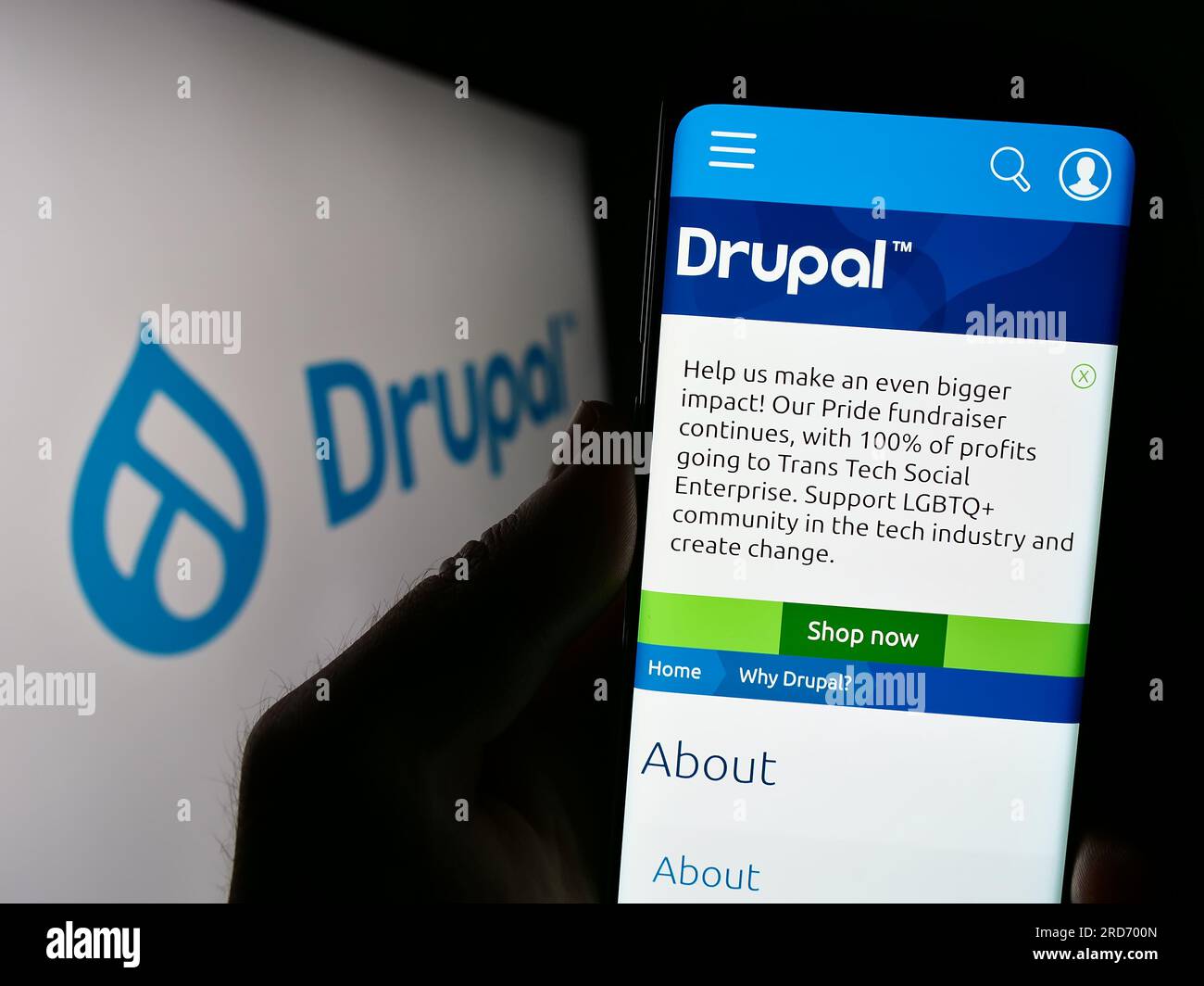 Person holding cellphone with webpage of content management system Drupal on screen in front of logo. Focus on center of phone display. Stock Photo