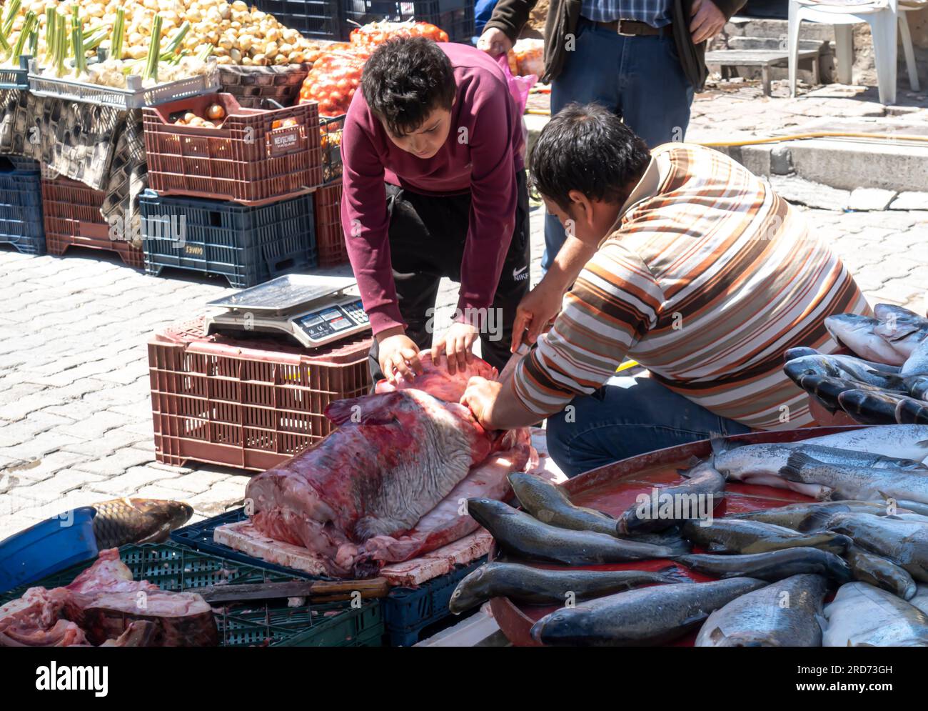 Sellers cutting fresh fish, stand at at street market Ürgüp/Nevşehir Cappadocia Turkey Stock Photo