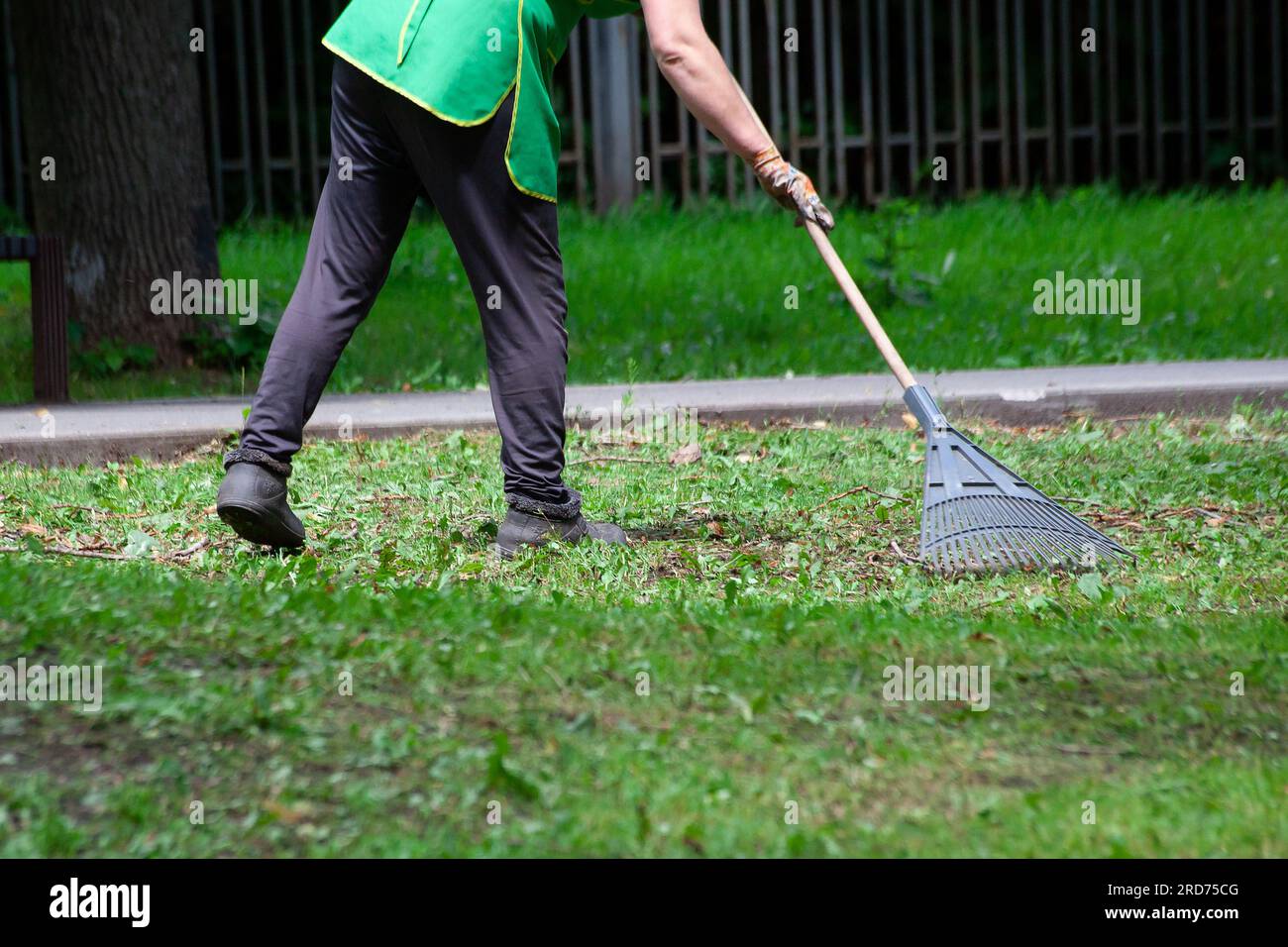 Female working rake on meadow hi-res stock photography and images - Alamy