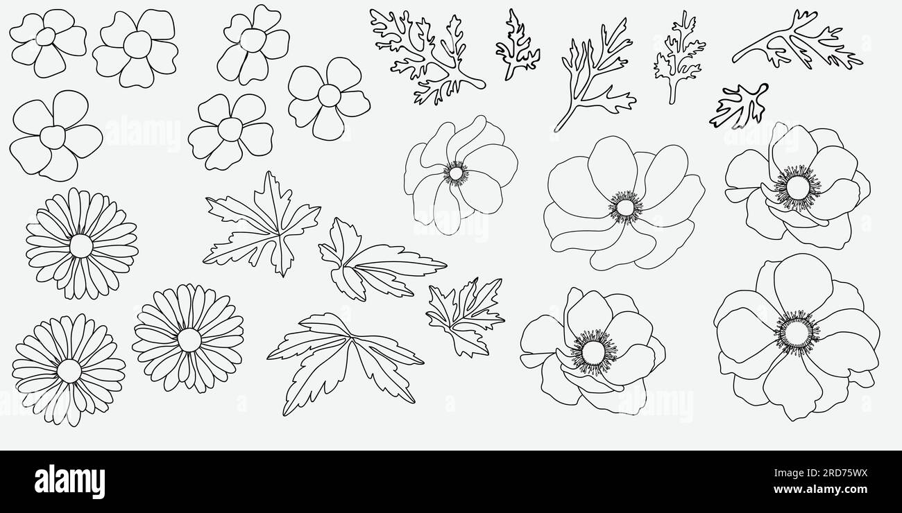 Illustration of the flowers and leaves on a white background. Vector illustration. Stock Vector
