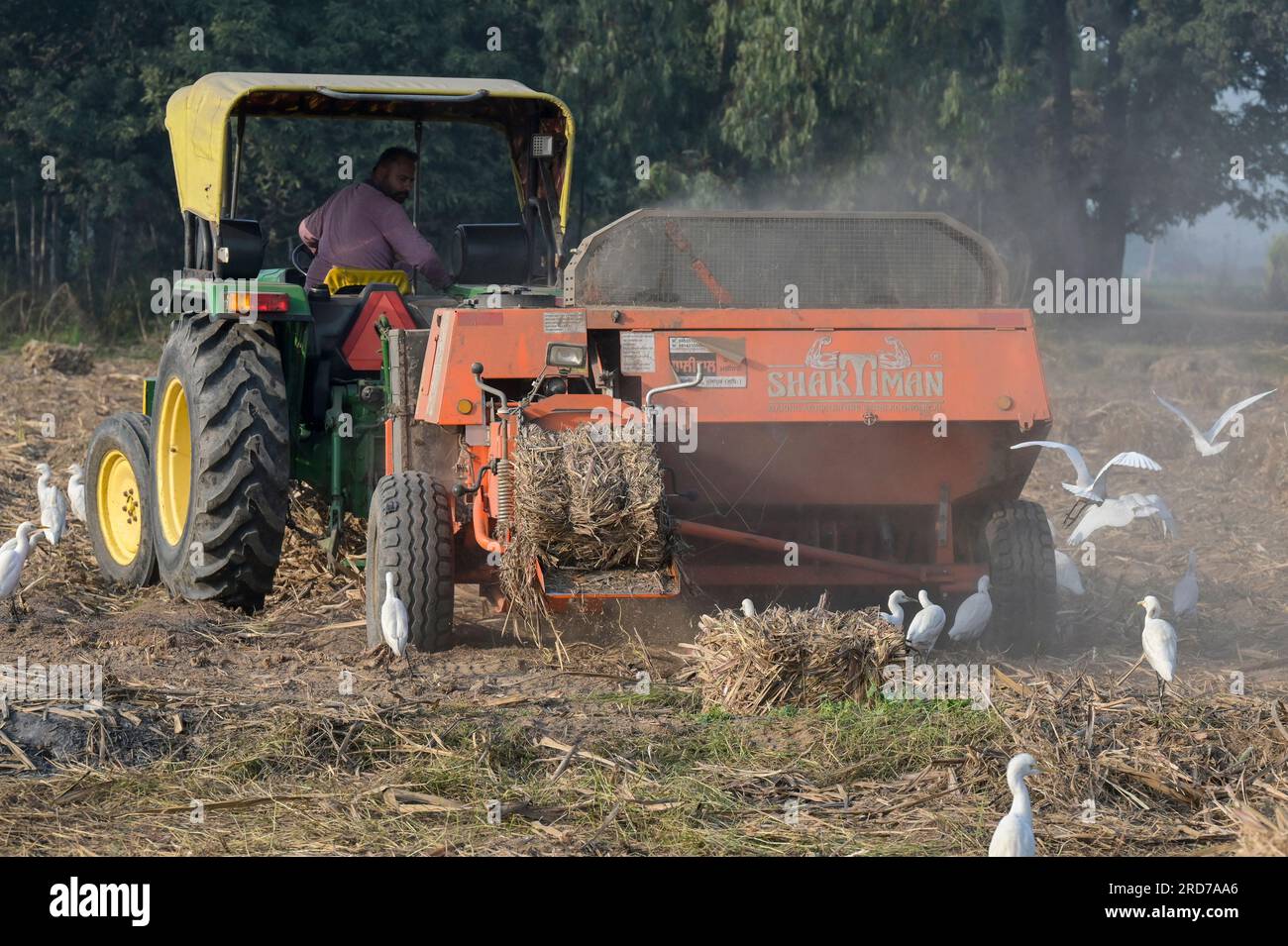 INDIA, Punjab, Kharar, sugar cane farming, cane straw pressing after harvest with Shaktiman bale press machine and John Deere tractor / INDIEN, Punjab, Landwirtschaft, Anbau von Zuckerrohr, pressen von Zuckerrohrstroh nach der Ernte mit Shaktiman Ballenpresse Stock Photo