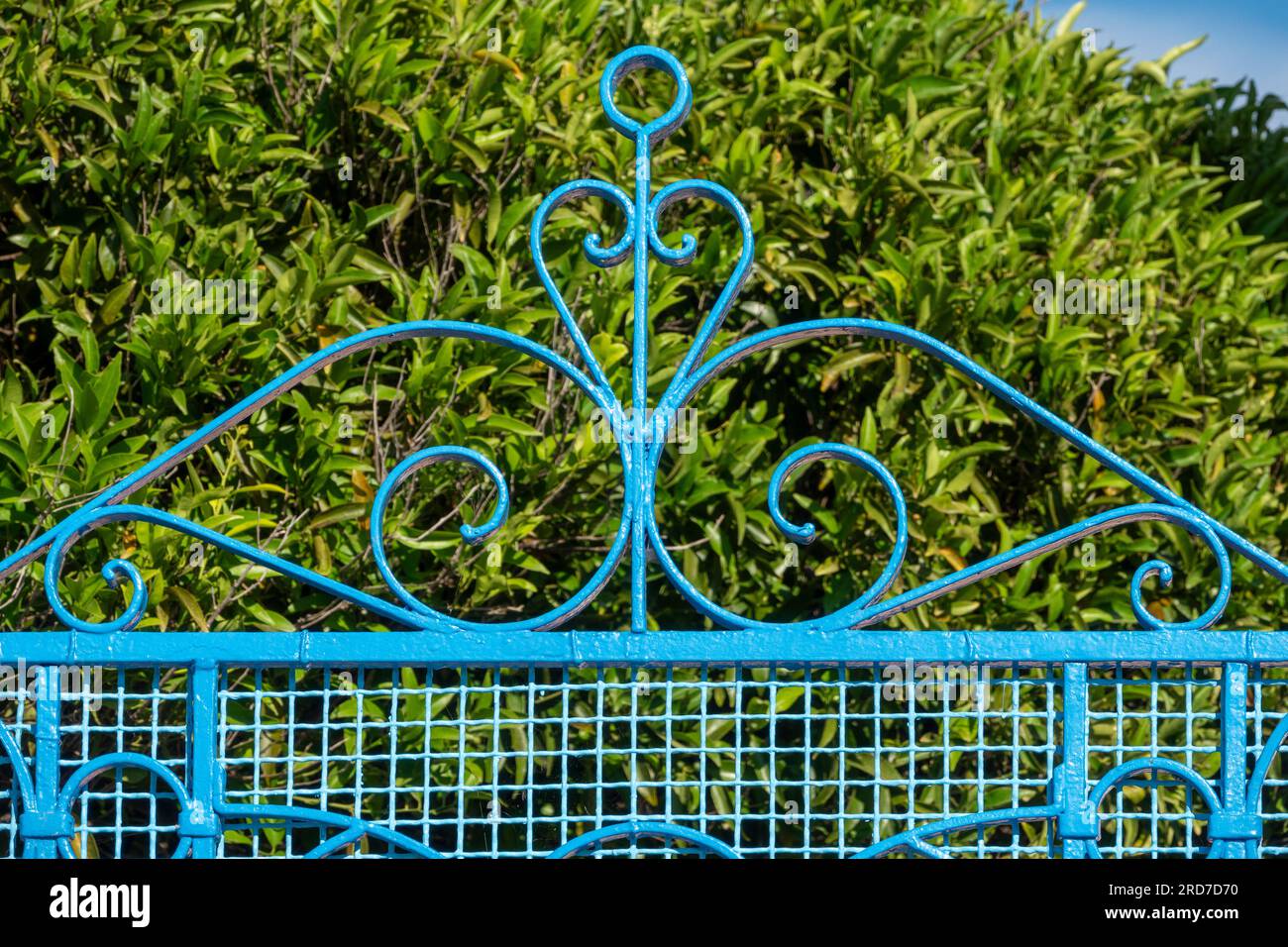Wrought iron and blue painted steel garden gates with shrubs in the background Stock Photo