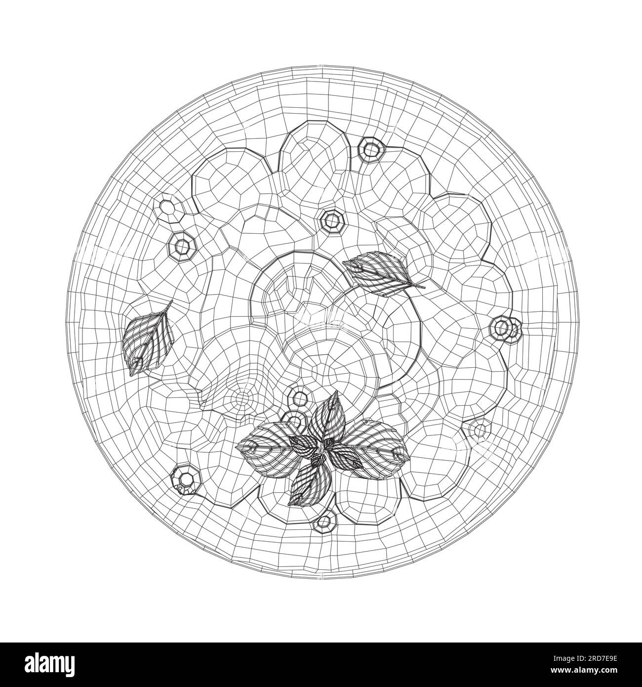 Wireframe of Italian pizza and ingredients. Italian food menu design