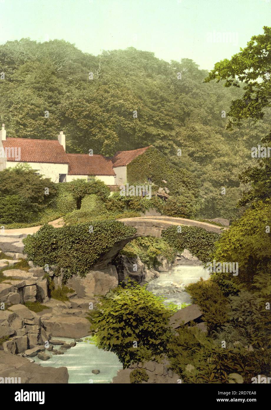 Jesmond Dene, old mill, Newcastle-on-Tyne, England, 1895, Historical, digital improved reproduction of an old Photochrome print Stock Photo