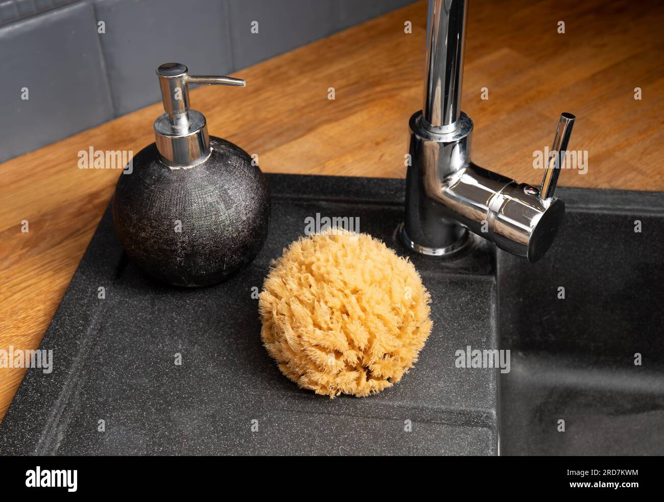 Sea sponge dish hi-res stock photography and images - Alamy