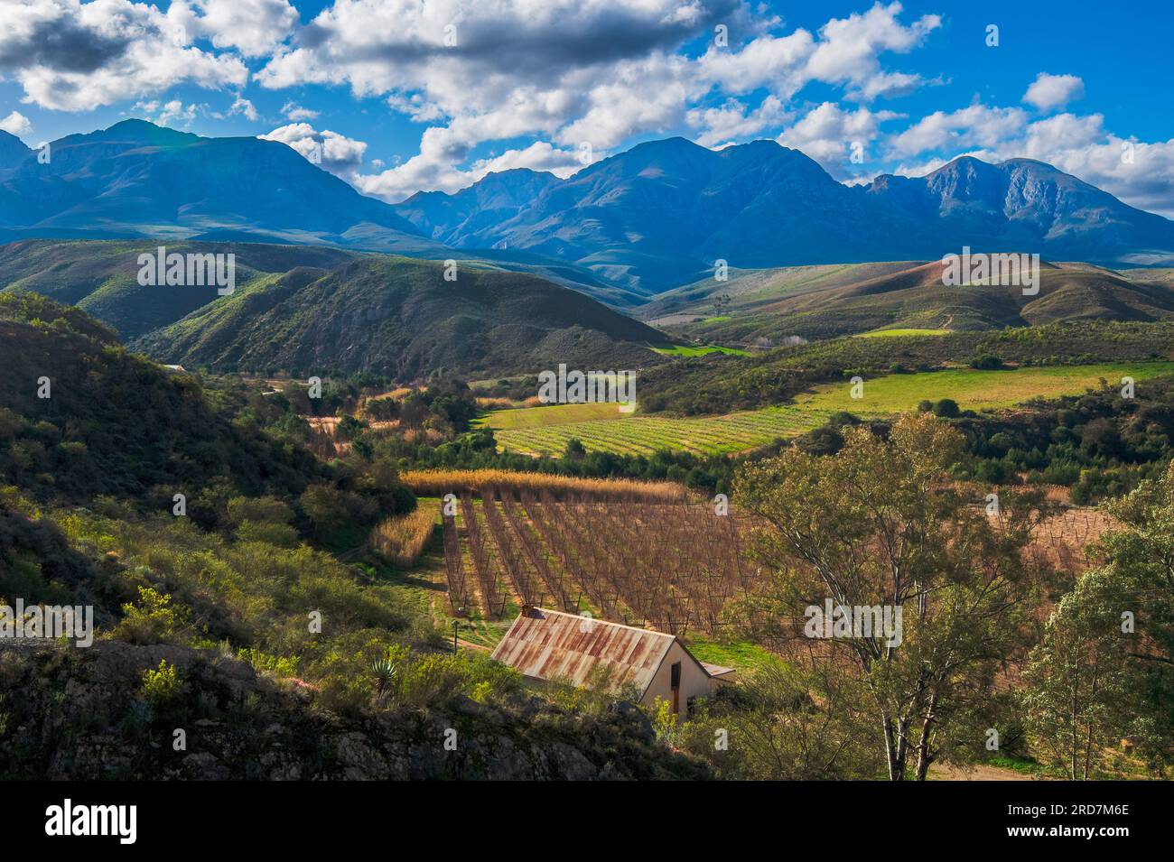 Orchard in a Kammanassie mountian valley Stock Photo