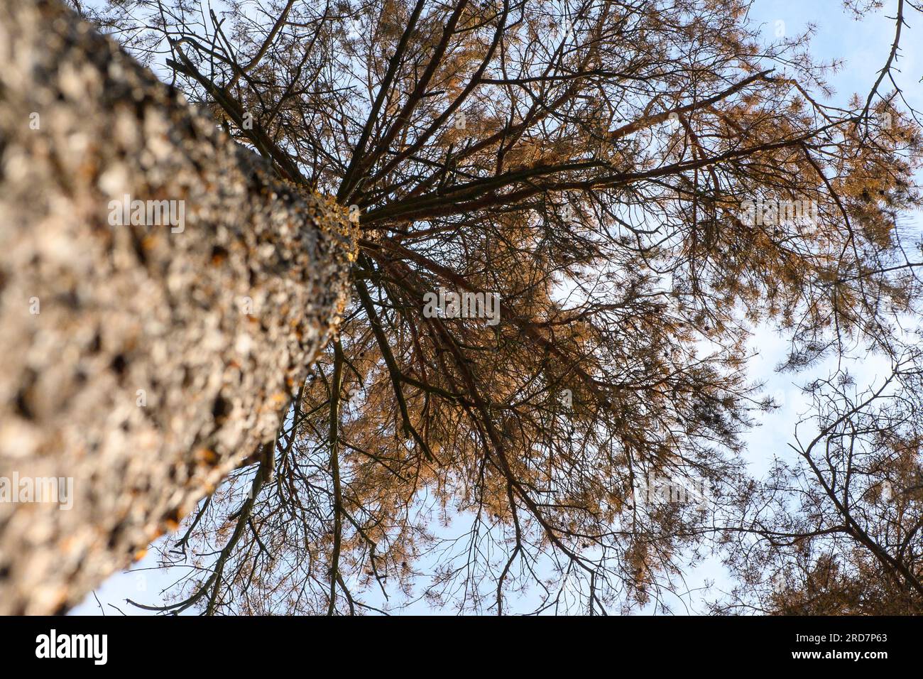 Dead end bore hi-res stock photography and images - Alamy