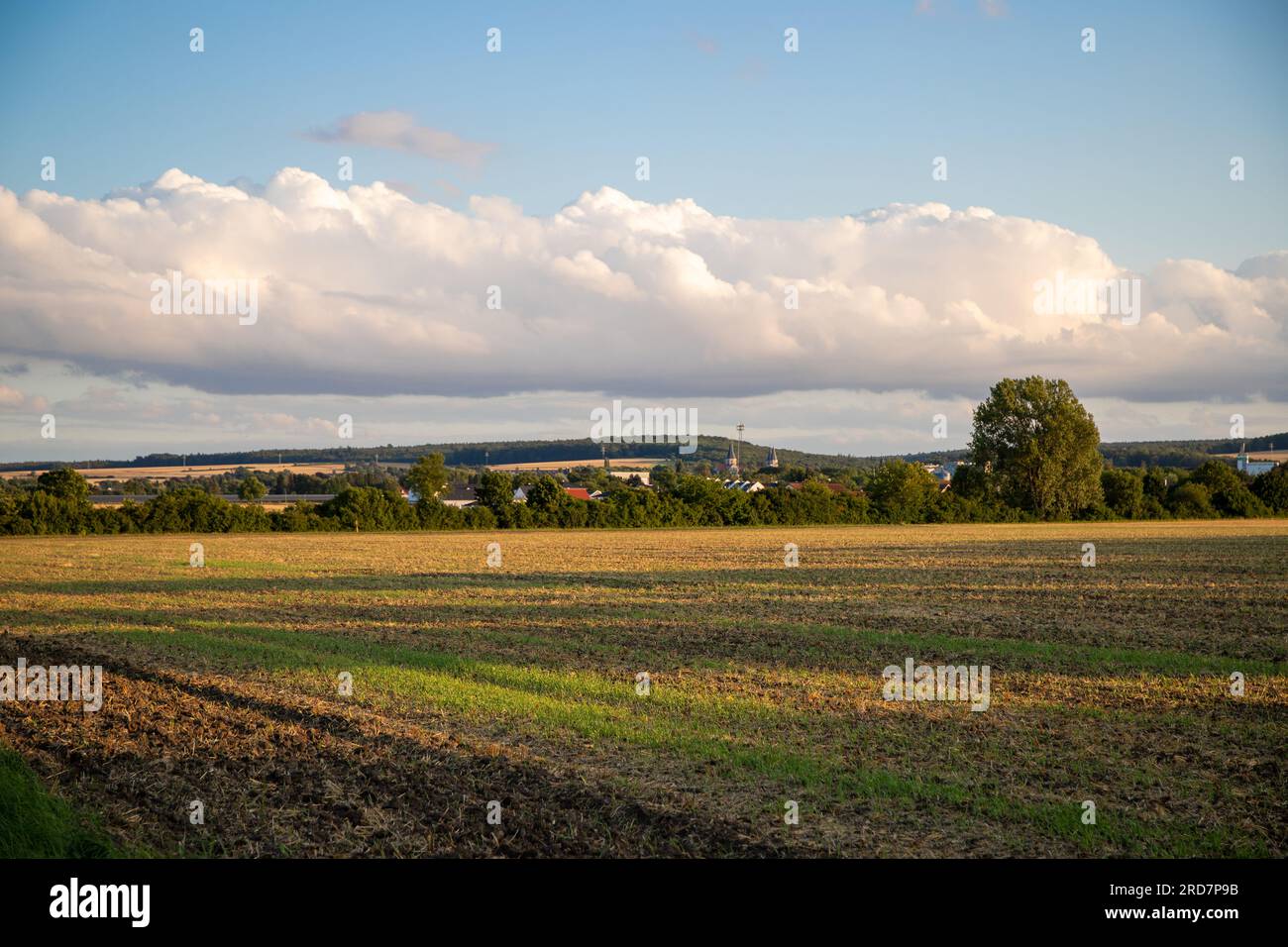 Landscape panorama with trees, blue sky and white clouds Stock Photo ...