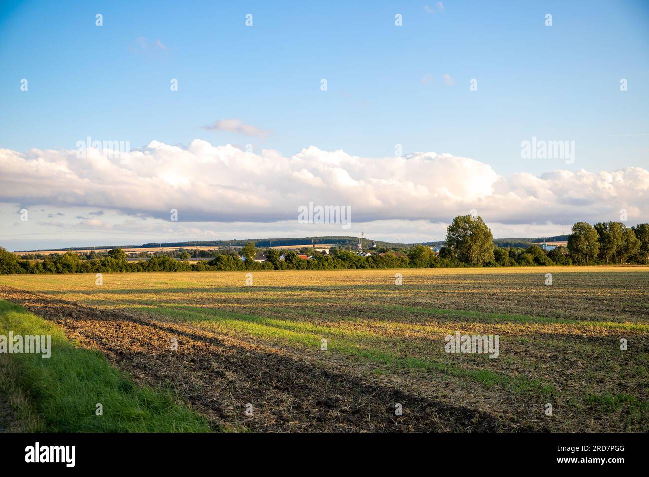 Landscape panorama with trees, blue sky and white clouds Stock Photo ...