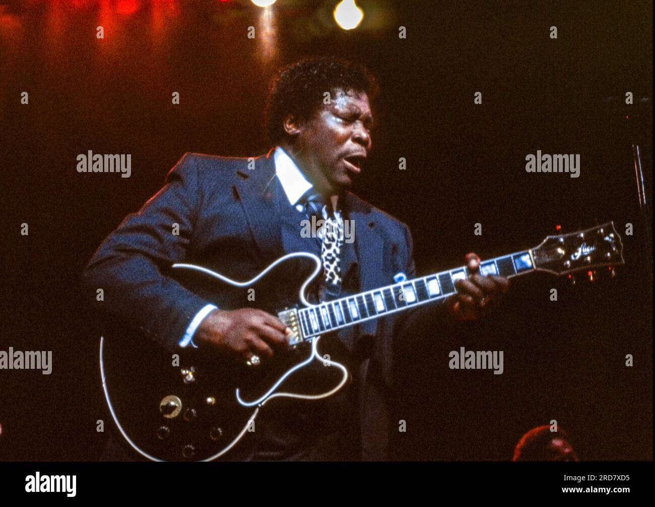 BB King performing at the Royal Festival Hall, London, England in 1984 ...