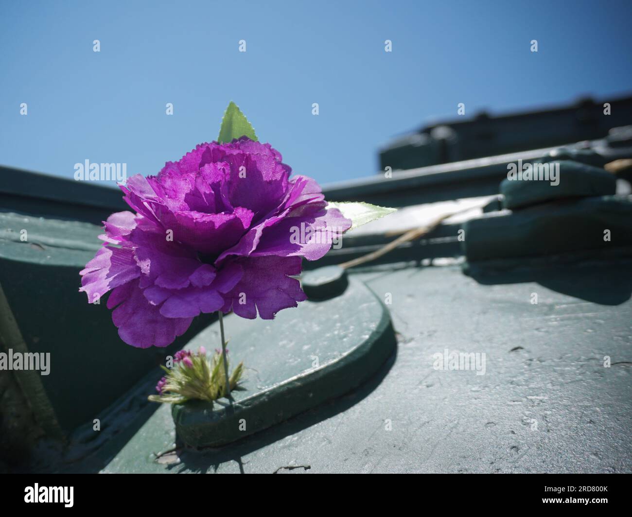A flower is seen placed on an Azerbaijani tank captured by soldiers from Karabakh. during the First Nagorno-Karabakh War in 1988. The tank is considered a victory for Karabakh and now situated outside the town of Shusha, Nagorno-Karabakh. The unrecognised yet de facto independent country in South Caucasus, Nagorno-Karabakh (also known as Artsakh) has been in the longest-running territorial dispute between Azerbaijan and Armenia in post-Soviet Eurasia since the collapse of Soviet Union. It is mainly populated by ethnic Armenians. Stock Photo