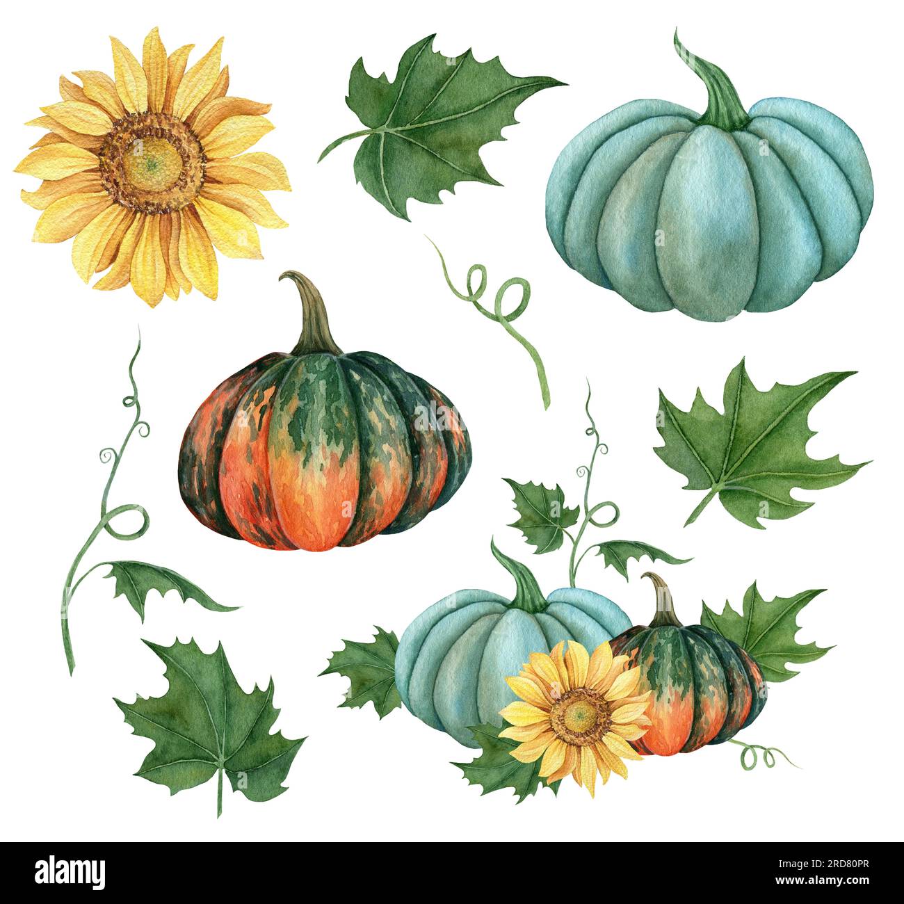 Watercolor set of pumpkins orange, blue and green colors with leaves ...