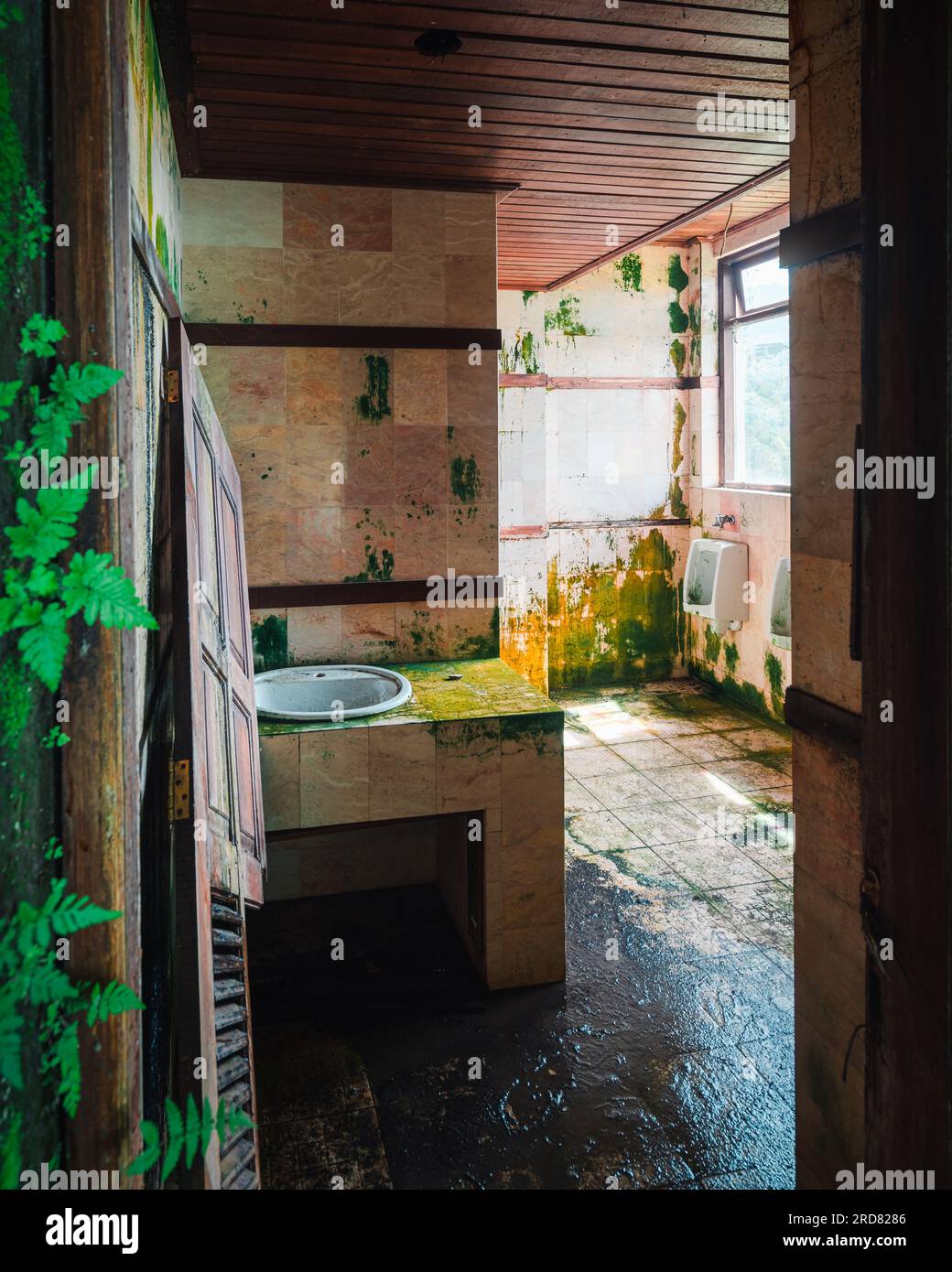 Abandoned Bedugul Taman Hotel, The Ghost Palace of Bali Stock Photo - Alamy