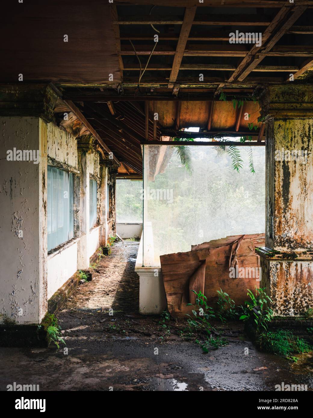 Abandoned Bedugul Taman Hotel, The Ghost Palace of Bali Stock Photo - Alamy