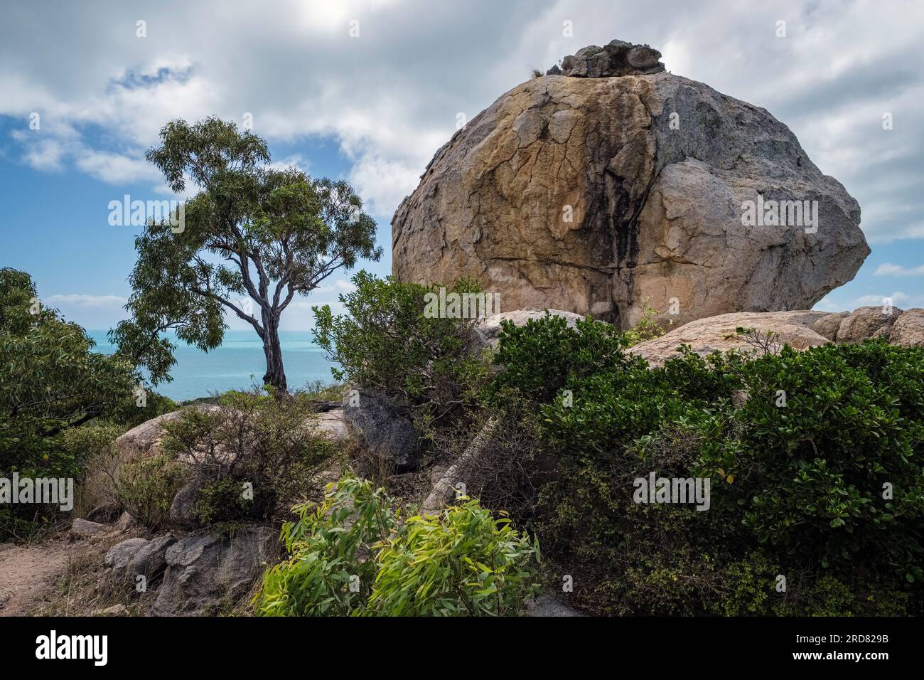 Mother Beddock, Rose Bay, Bowen, Queensland, Australia Stock Photo Alamy