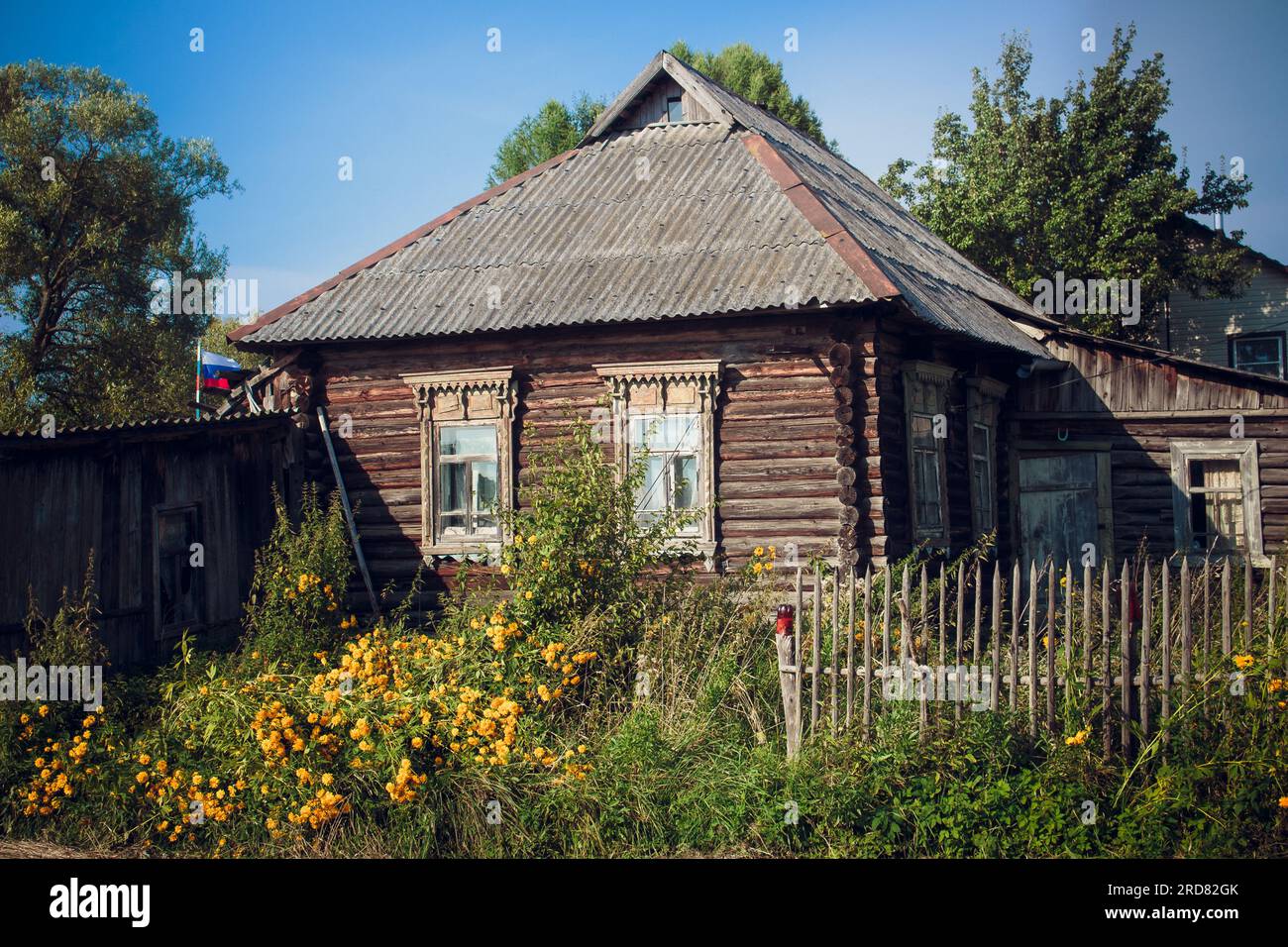 View of the old wooden village house in the Russian village. Overgrown plot with a picket fence Stock Photo