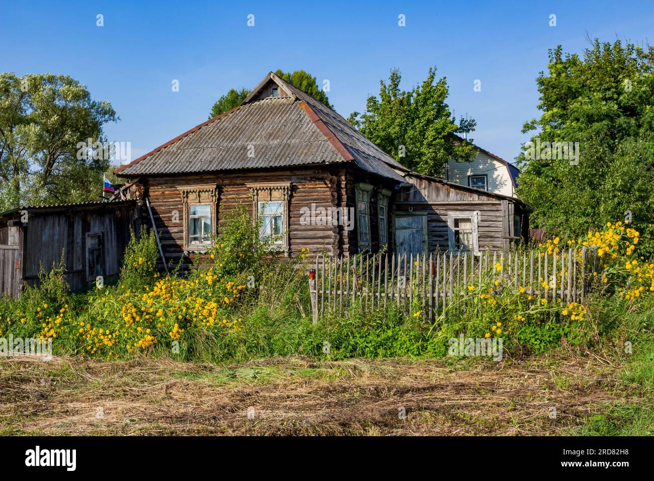 View of the old wooden village house in the Russian village. Overgrown plot with a picket fence Stock Photo