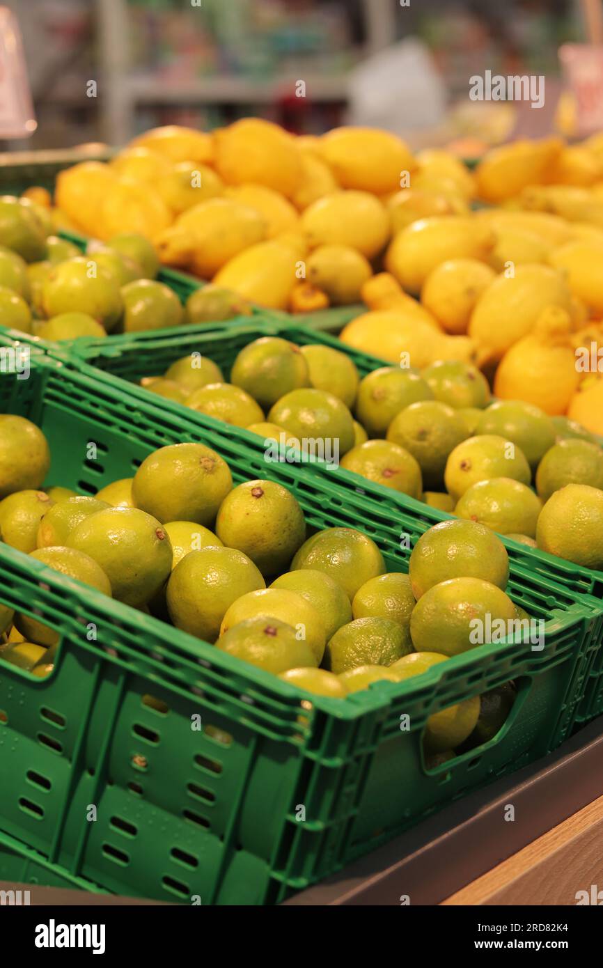Sale of fruits in the store, limes in plastic boxes. Sale of limes and