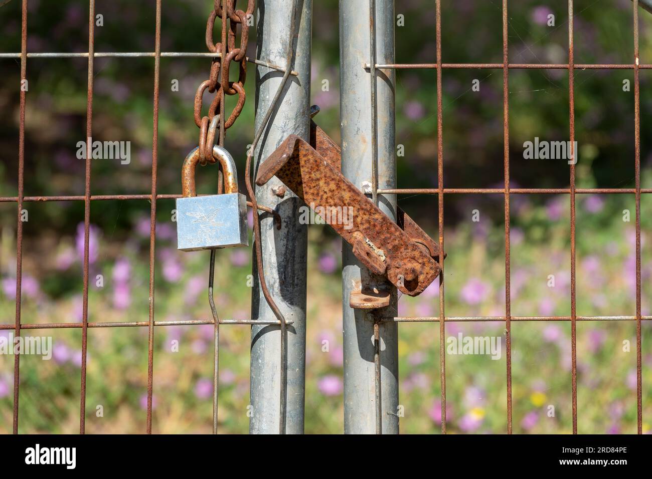 Hinge Lock Wire Fencing Quality Design