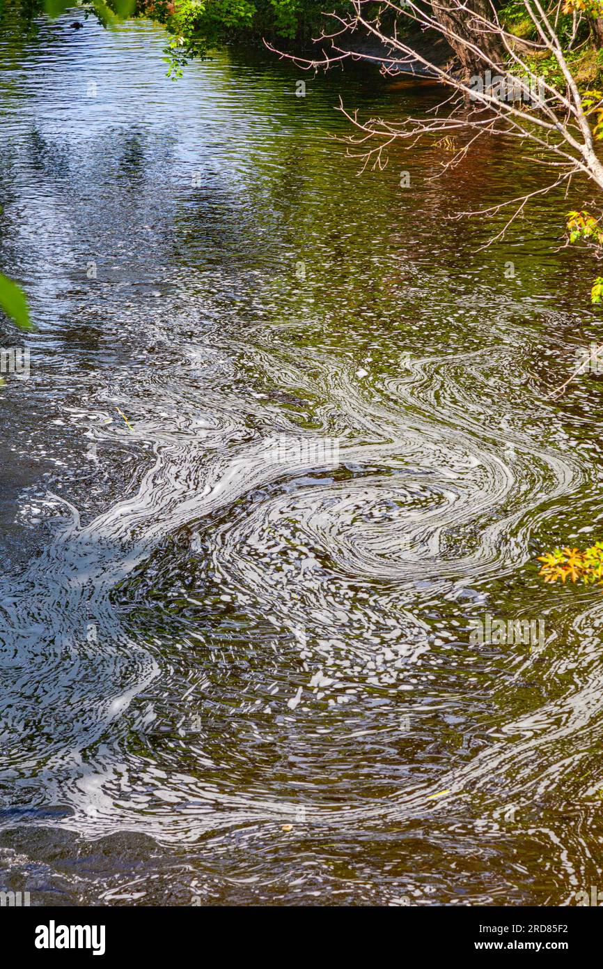 Small river flowing into Sparrow Lake in Muskoka Ontario Canada Stock Photo