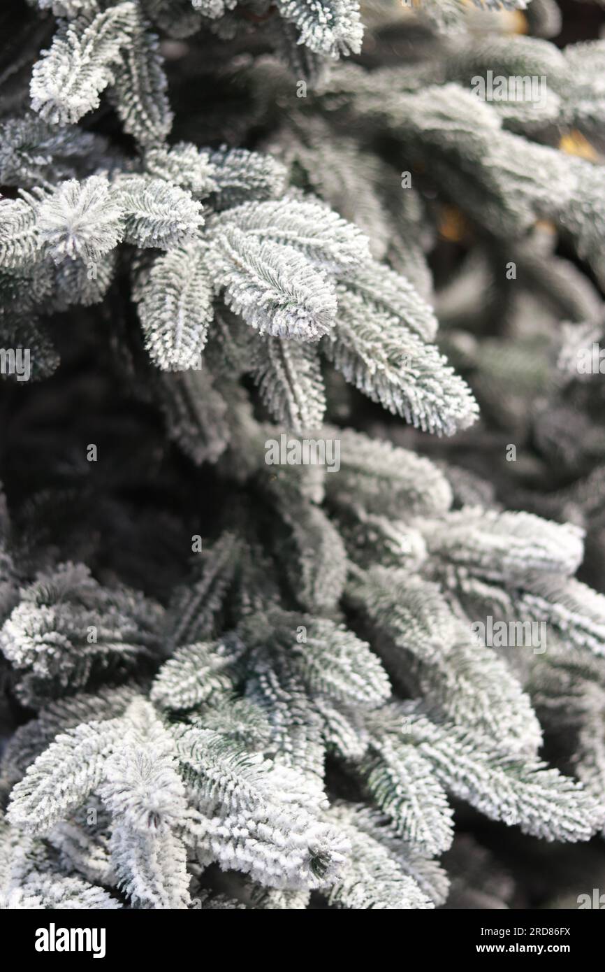 Christmas background, artificial Christmas tree, fir branches with