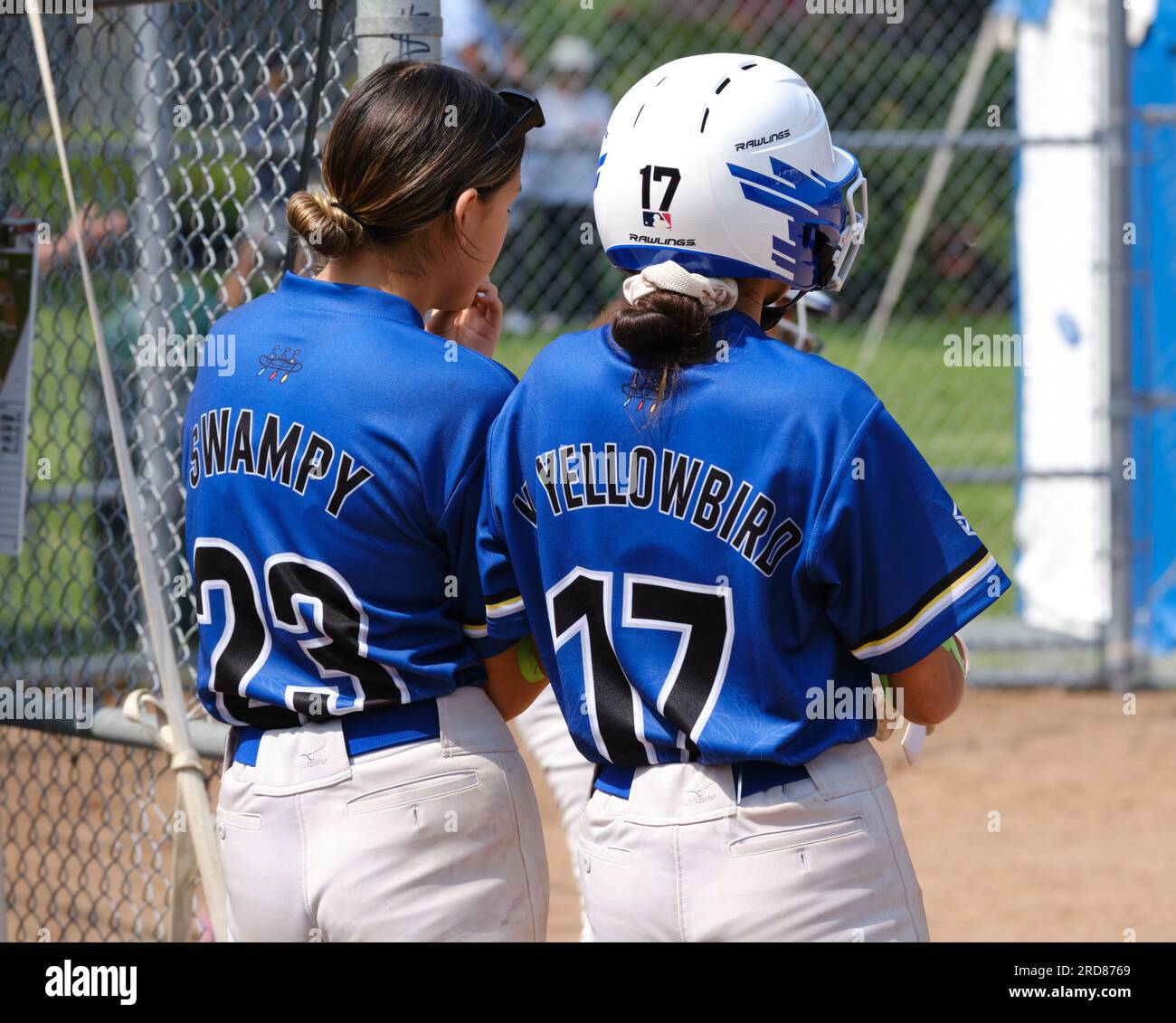 NAIG 2023 Softball tournament- Two Team Alberta Female player from back  with names on jersey looking from dugout. Halifax July 2023 Stock Photo -  Alamy